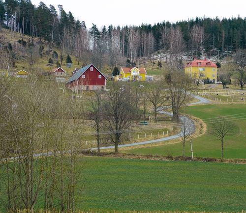 Free Charming rural landscape with colorful houses amidst lush greenery and a winding road. Stock Photo