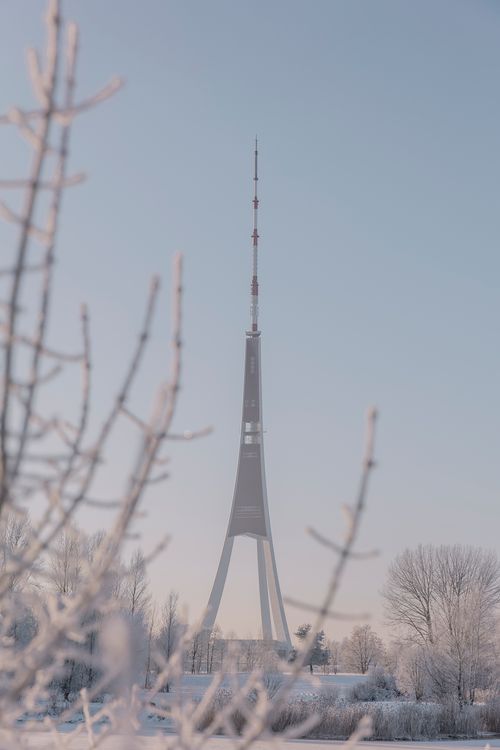 Free Tall transmission tower in a serene snowy field during winter with tree branches in the foreground. Stock Photo