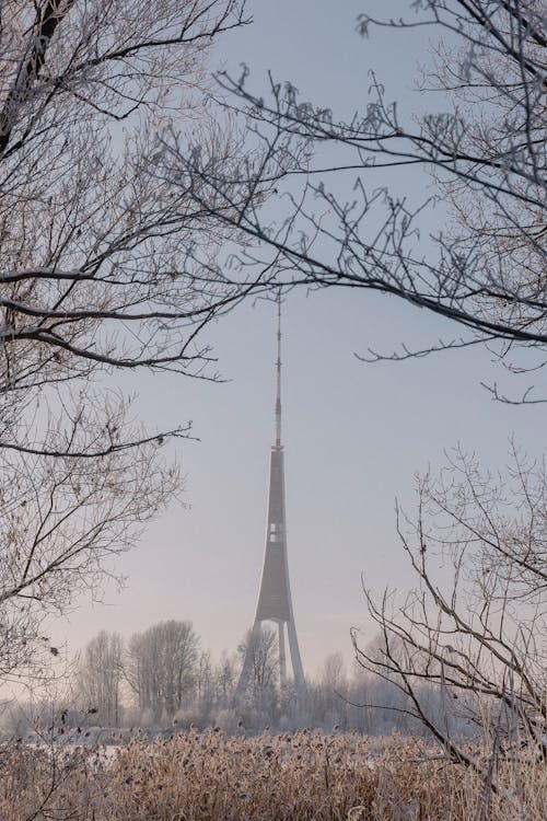 The Riga Radio and TV Tower seen from Distance from between Tree Branches 