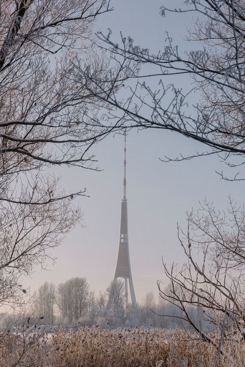 Free Riga Radio and TV Tower framed by frosty branches on a clear winter day. Stock Photo