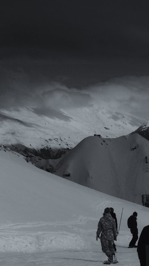 Foto d'estoc gratuïta de aventura, blanc i negre, cobert de neu