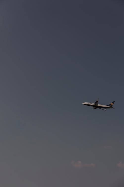 Foto d'estoc gratuïta de aviació, avió, avió de passatgers