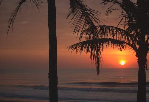 Бесплатное стоковое фото с берег, горизонт, закат