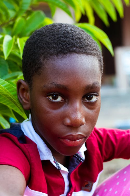 Portrait of a Young Boy Sitting next to a Plant Outdoors 