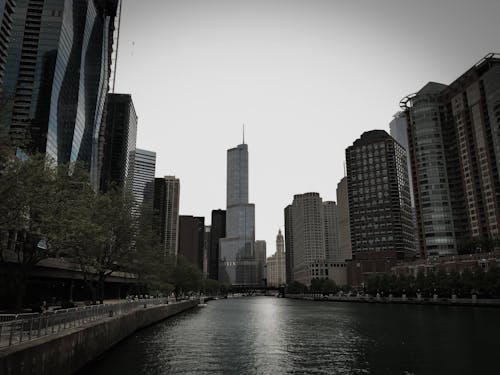 Free Chicago Financial District with Skyscrapers seen from the Chicago River  Stock Photo