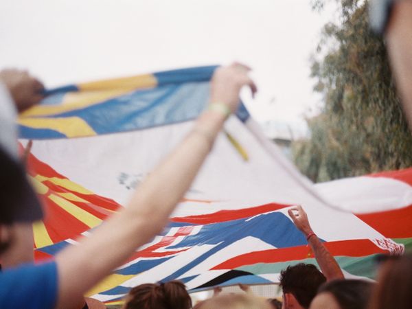 Pole Flags, image 1 of 5