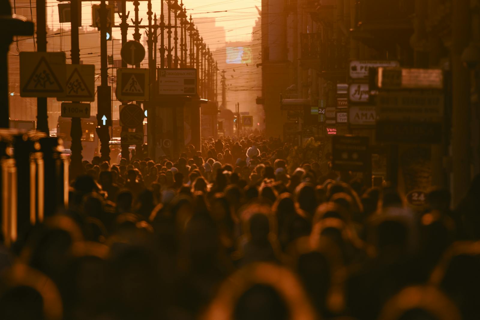 Crowd Sunset Photos, Download The BEST Free Crowd Sunset Stock Photos ...