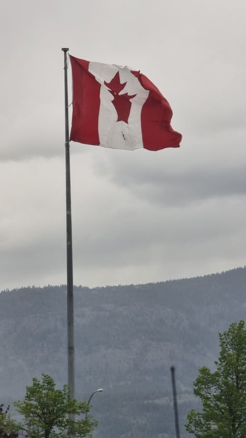 Foto profissional grátis de bandeira do canada, Canadá