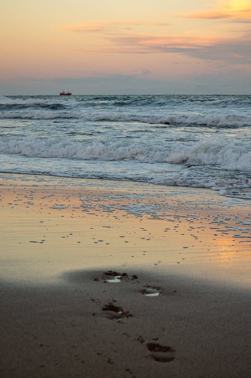 Kostenloses Stock Foto zu küste, meer, natur