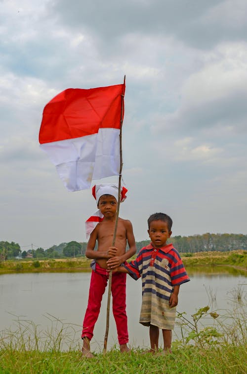 Foto profissional grátis de árvores, bandeira, bandeira da indonésia