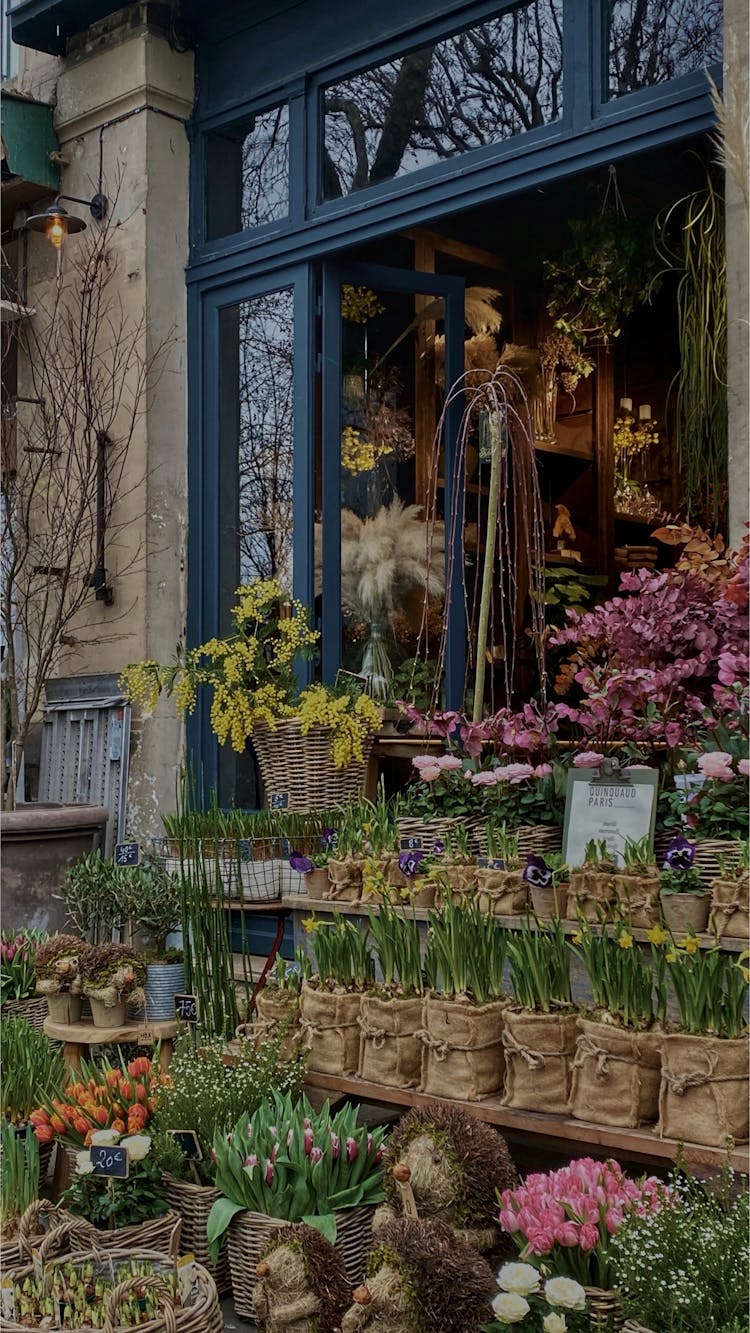 A Flower Store 