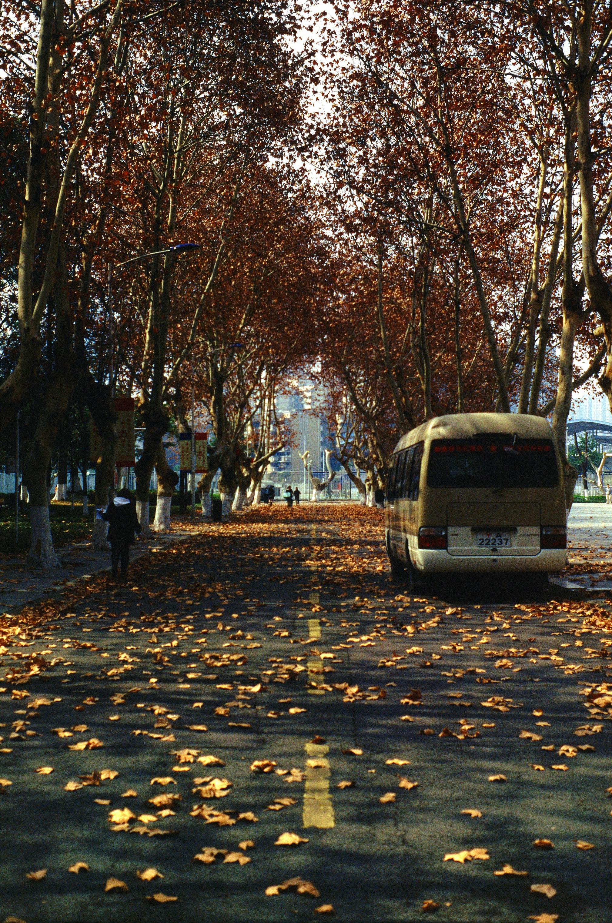 Bus on a Road in Autumn · Free Stock Photo