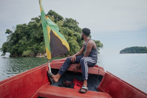 Foto profissional grátis de árvores, bandeira jamaicana, barco