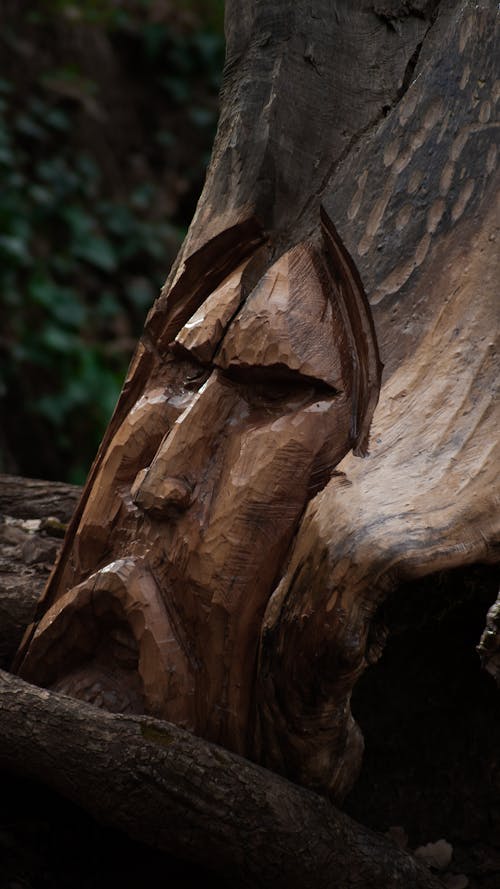 Face Carved in a Tree 