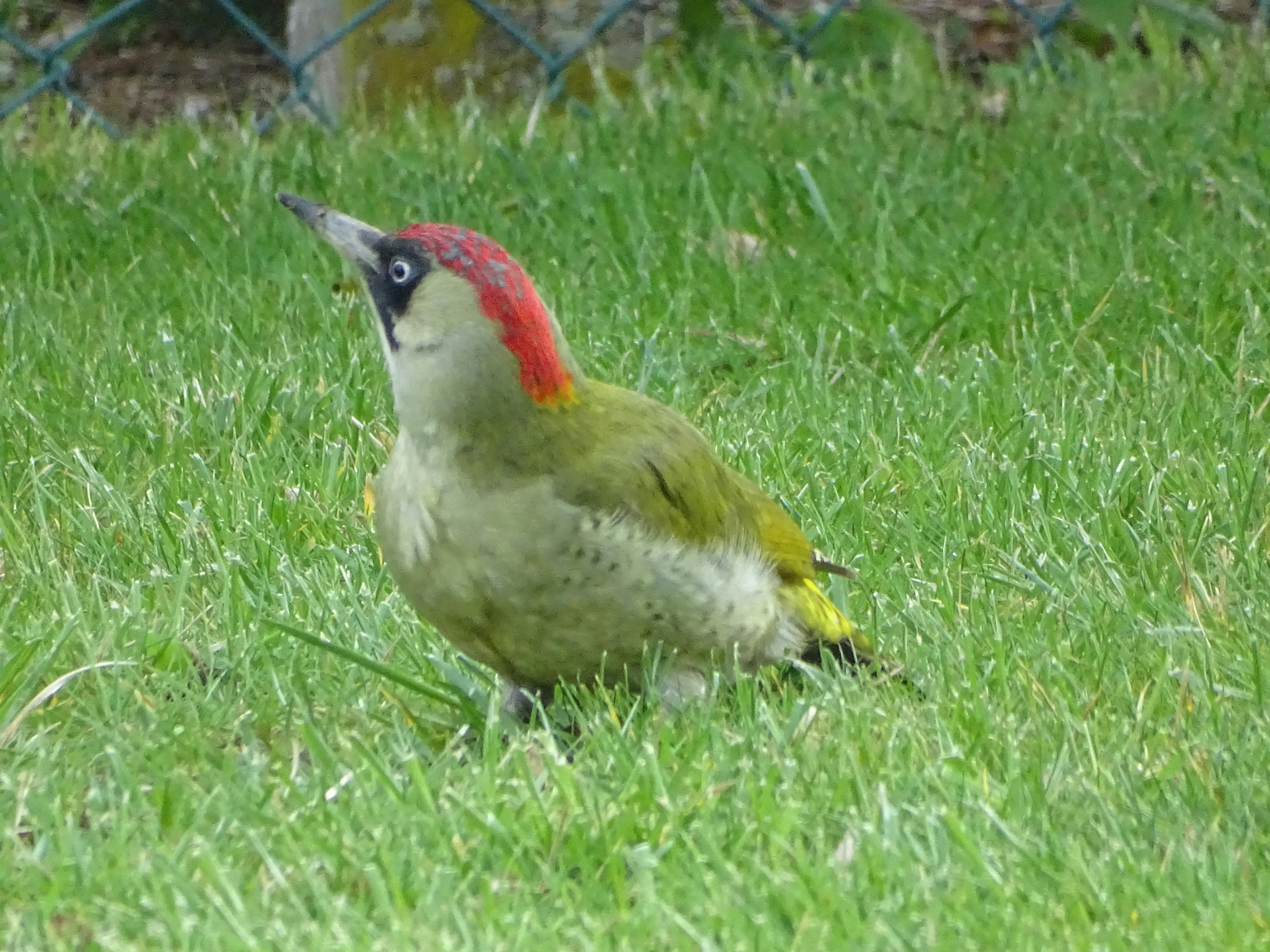 Un paysage époustouflant au coucher du soleil lors de votre Safari Désert Dubaï, capturant la magie des dunes infinies.