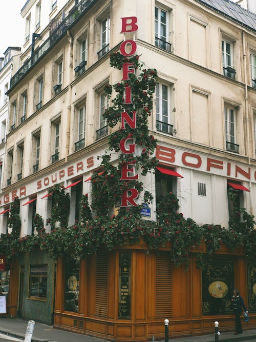 シティ, ツタ, パリの無料の写真素材