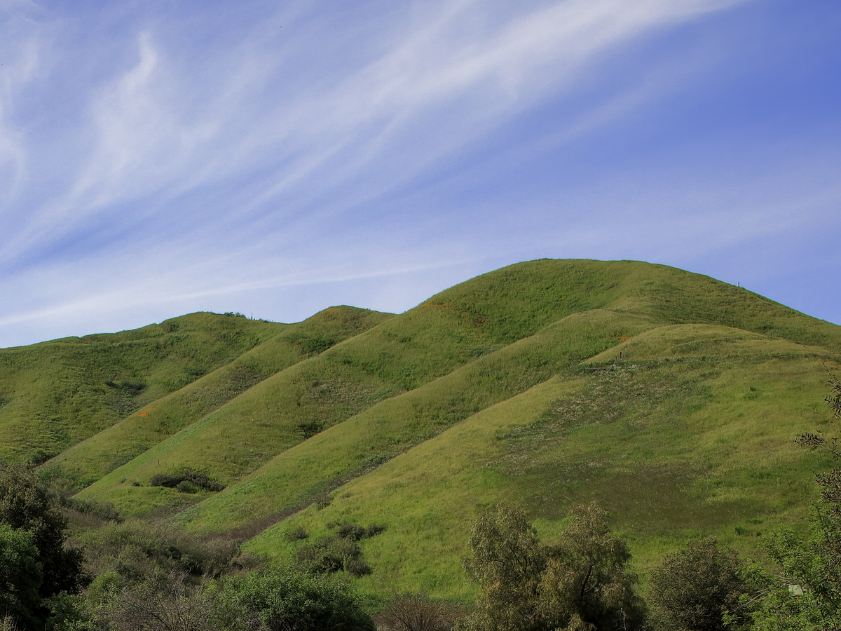 3 Day Nervous System Reset for Professionals in Napa Valley, CA 1