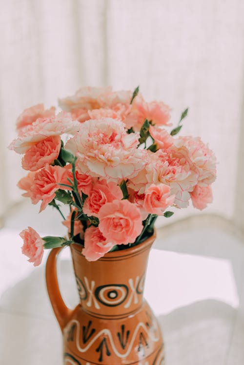Pink Carnation Flowers in Vase