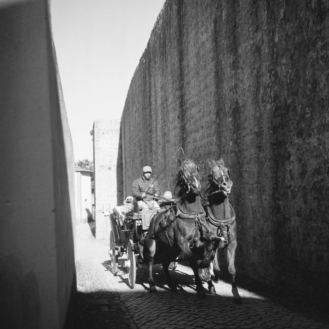 A man riding a horse-drawn carriage through a narrow alley in Óbidos, Portugal.