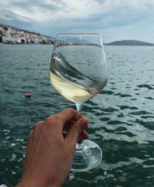 Hand Holding Wine Glass