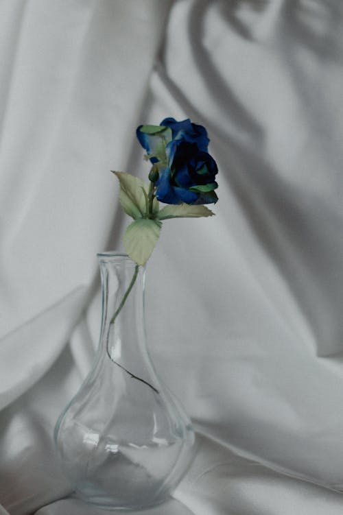 Blue Flower in an Empty Vase
