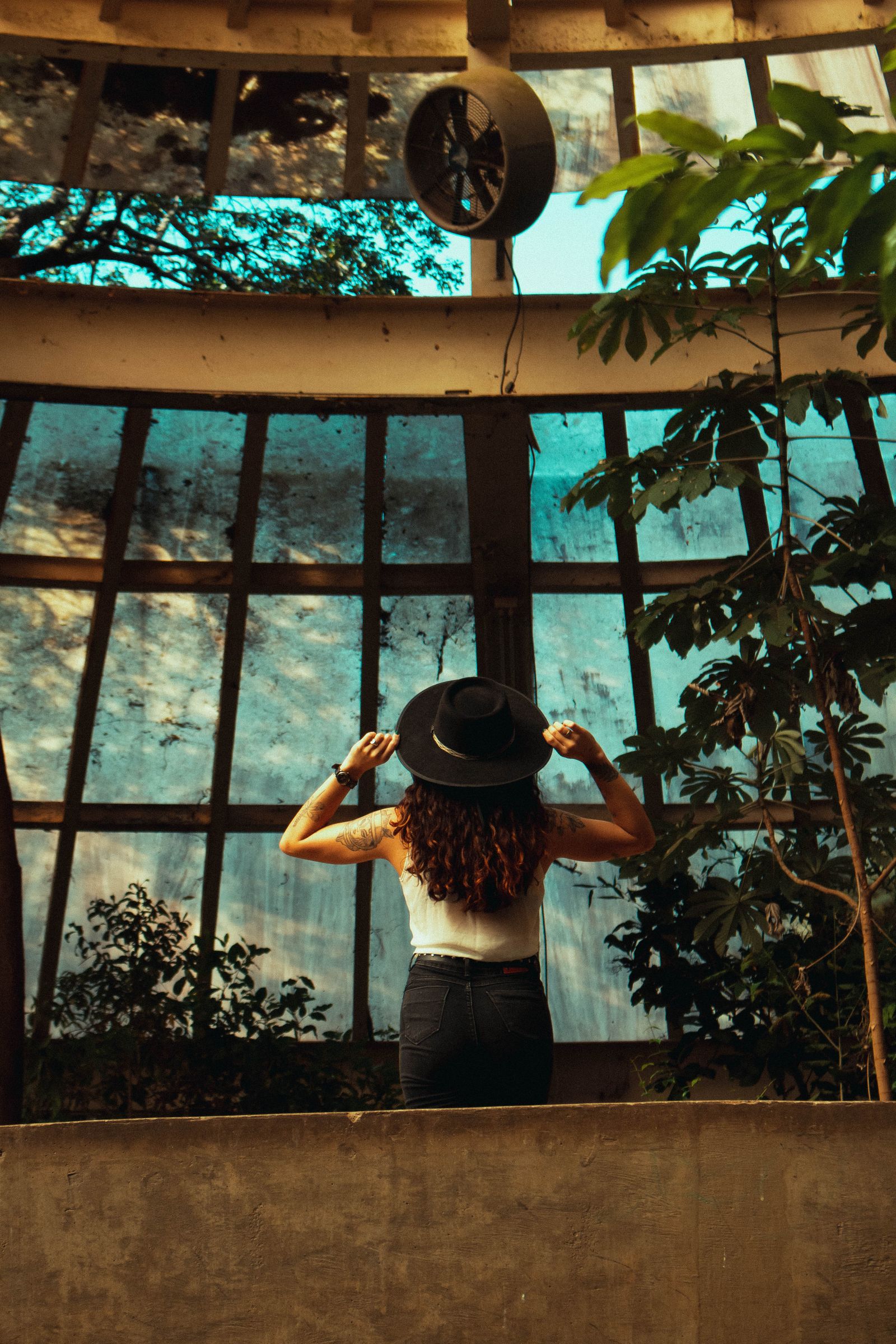 Lick Window Photos, Download The BEST Free Lick Window Stock Photos ...