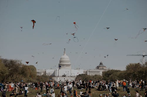 Free stock photo of dc, kitefestival, washingtondc