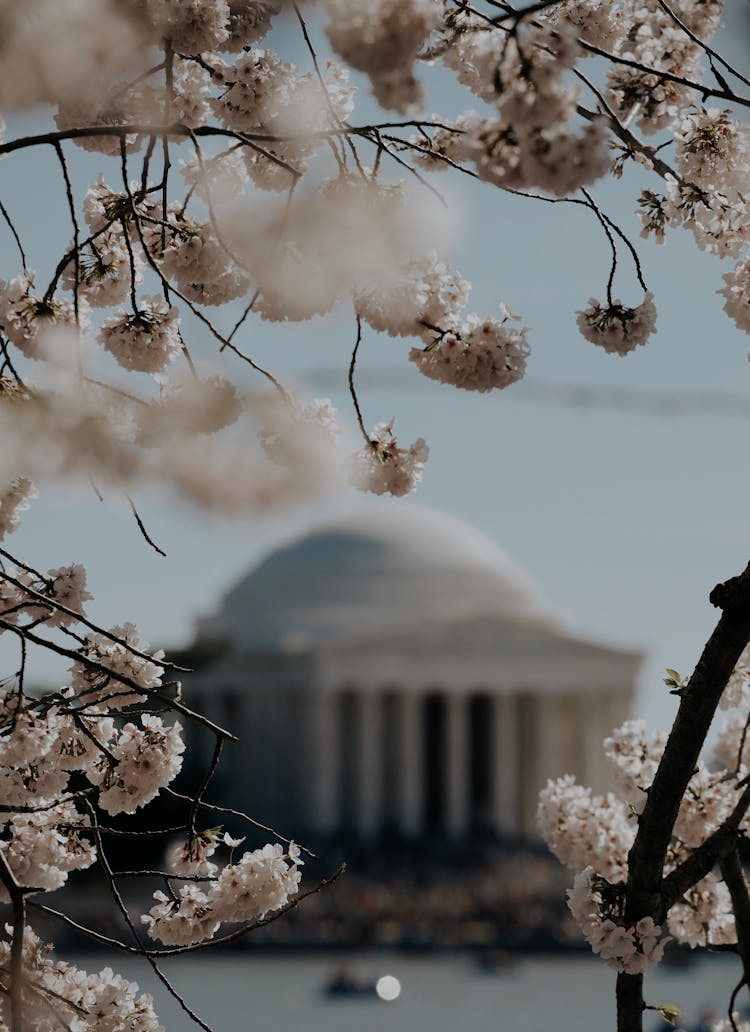 Thomas Jefferson Memorial In Spring 