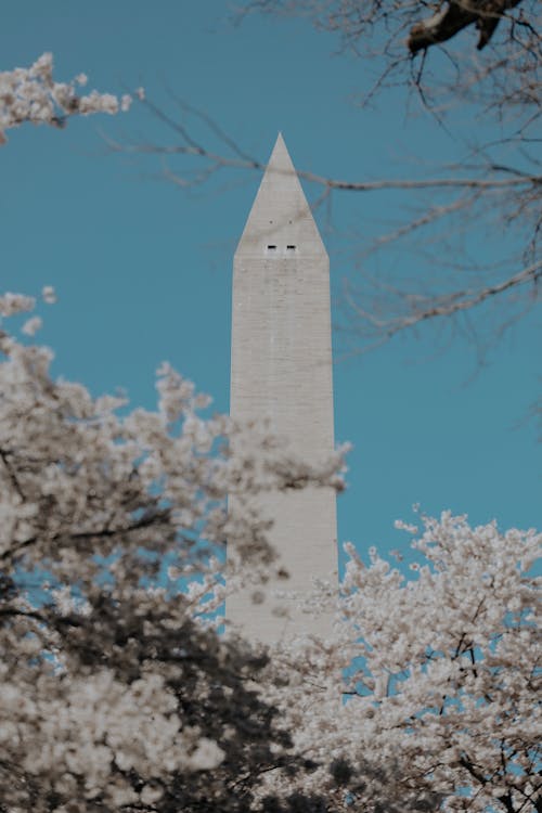 View of the Washington Monument