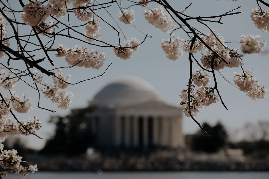 The Tidal Basin