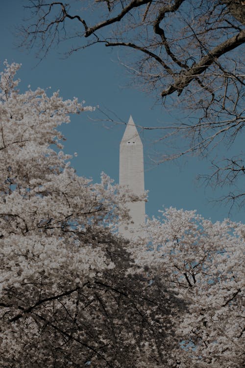 A Monument in Washington