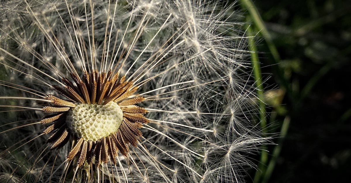 噴嚏、鼻水止不住?花粉症3大方法輕鬆控制,改善你的生活品質!