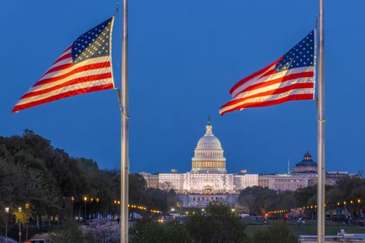Dramatic evening view of the U.S. Capitol with American flags in Washington, D.C.