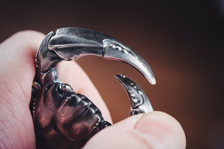 Crab Key Ring Claw