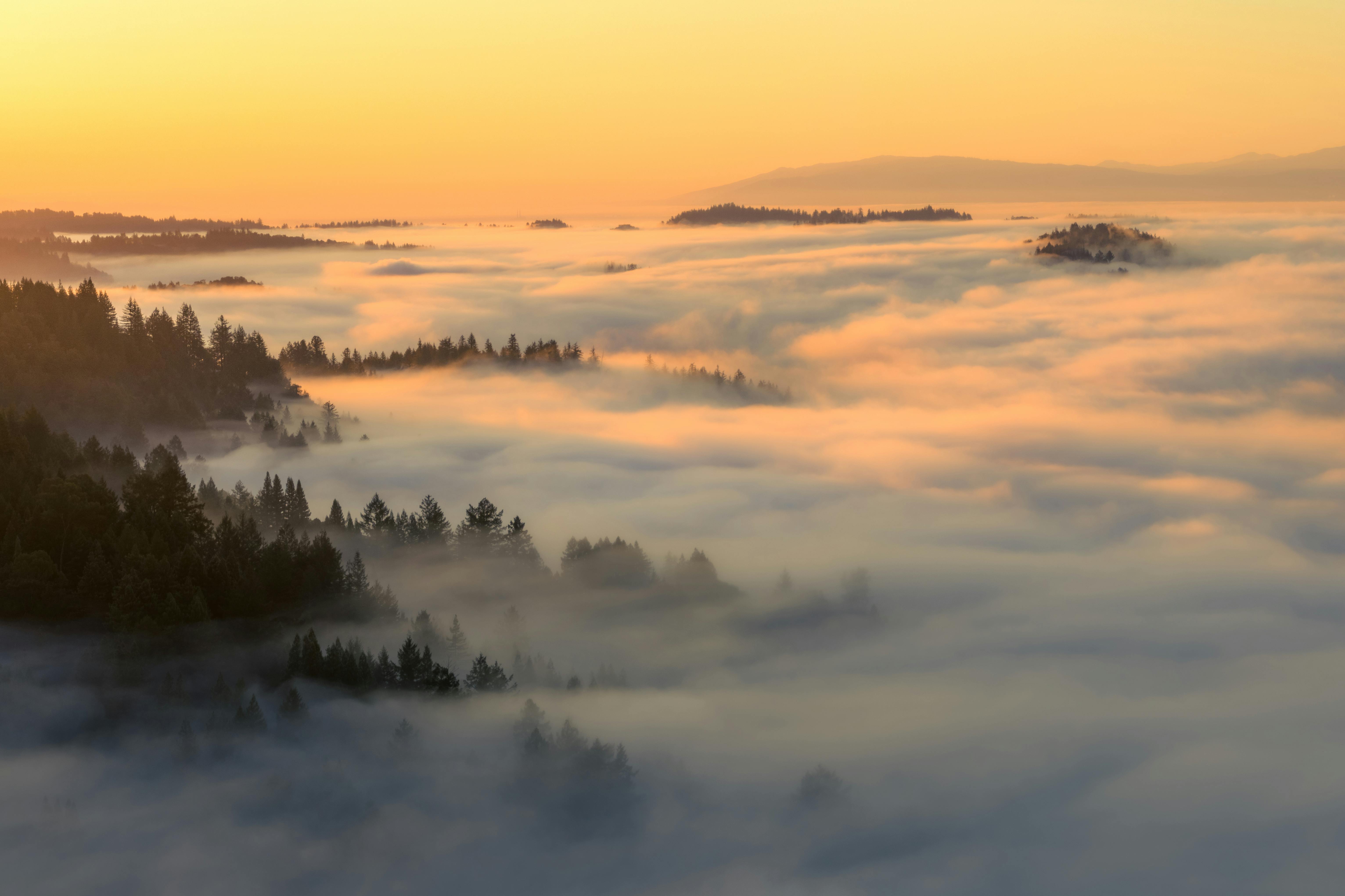 a sunset over the fog covered hills and trees