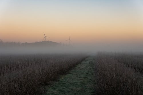 Landscape with Grass Fields and Wind Turbines in Fog