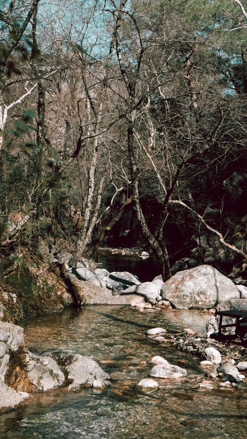 垂直拍摄, 岩石, 旅行 的 免费素材图片