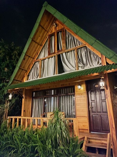 Free A cozy wooden lodge with a green roof illuminated at night, surrounded by lush greenery. Stock Photo