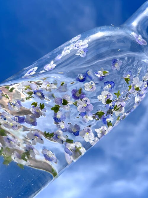 Flower Heads Floating in a Bottled Water