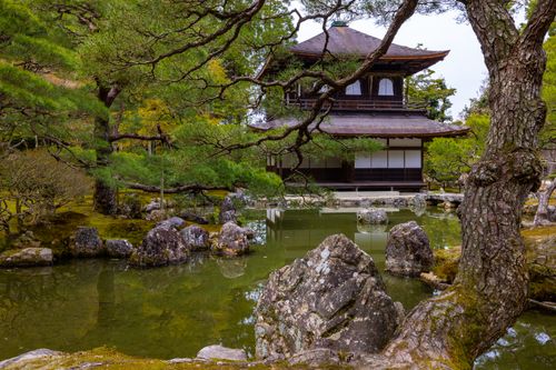 Free Beautiful Japanese garden with traditional architecture and tranquil pond. Stock Photo