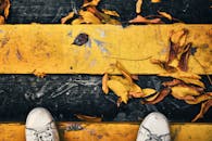 从俯视的角度看去，街道上飘落的秋叶间，可见一双带有大胆黄色条纹的鞋子