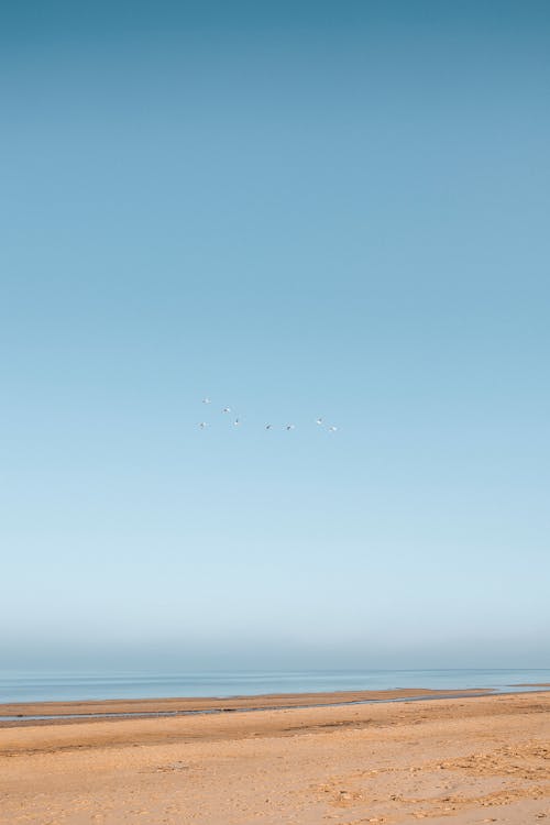 Бесплатное стоковое фото с берег, вертикальный выстрел, голубое небо