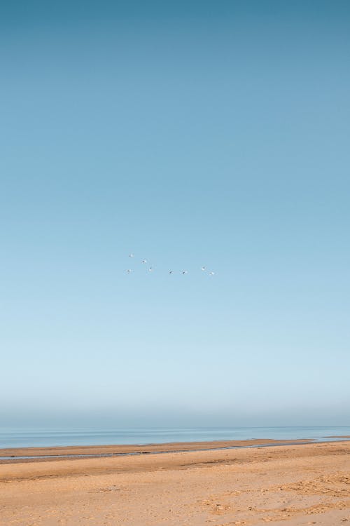 A Beach and Seascape under a Clear Blue Sky 