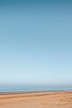 Peaceful beach scene featuring a vast blue sky and gentle ocean horizon.