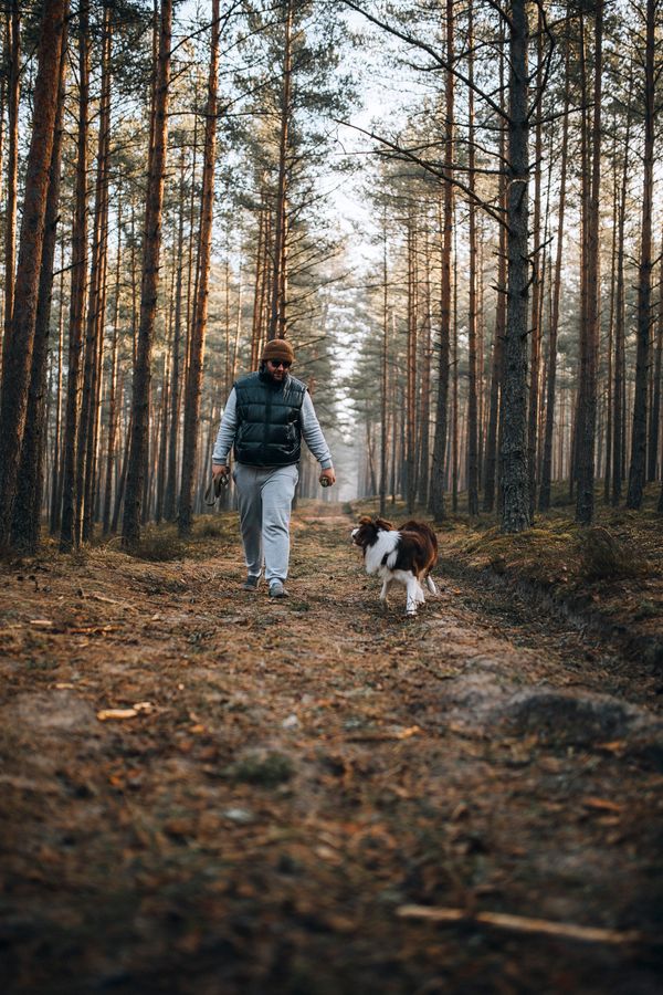Pet Day Care Services in Welling
