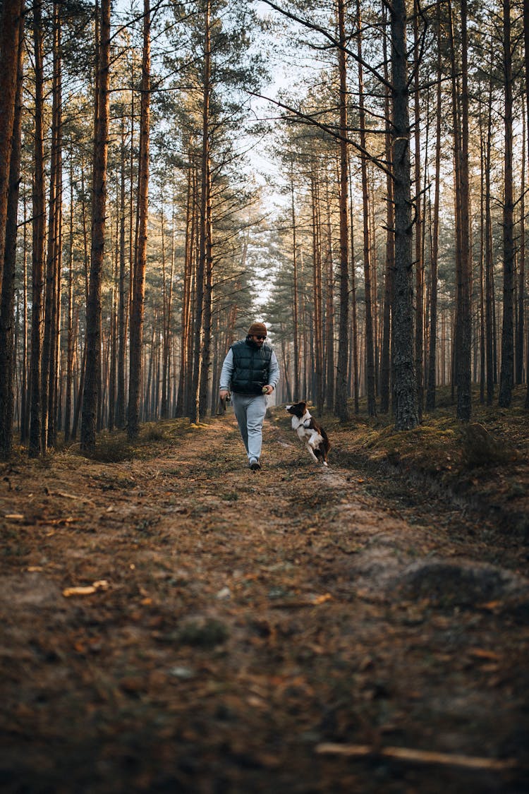 Man Walking The Dog In A Forest 