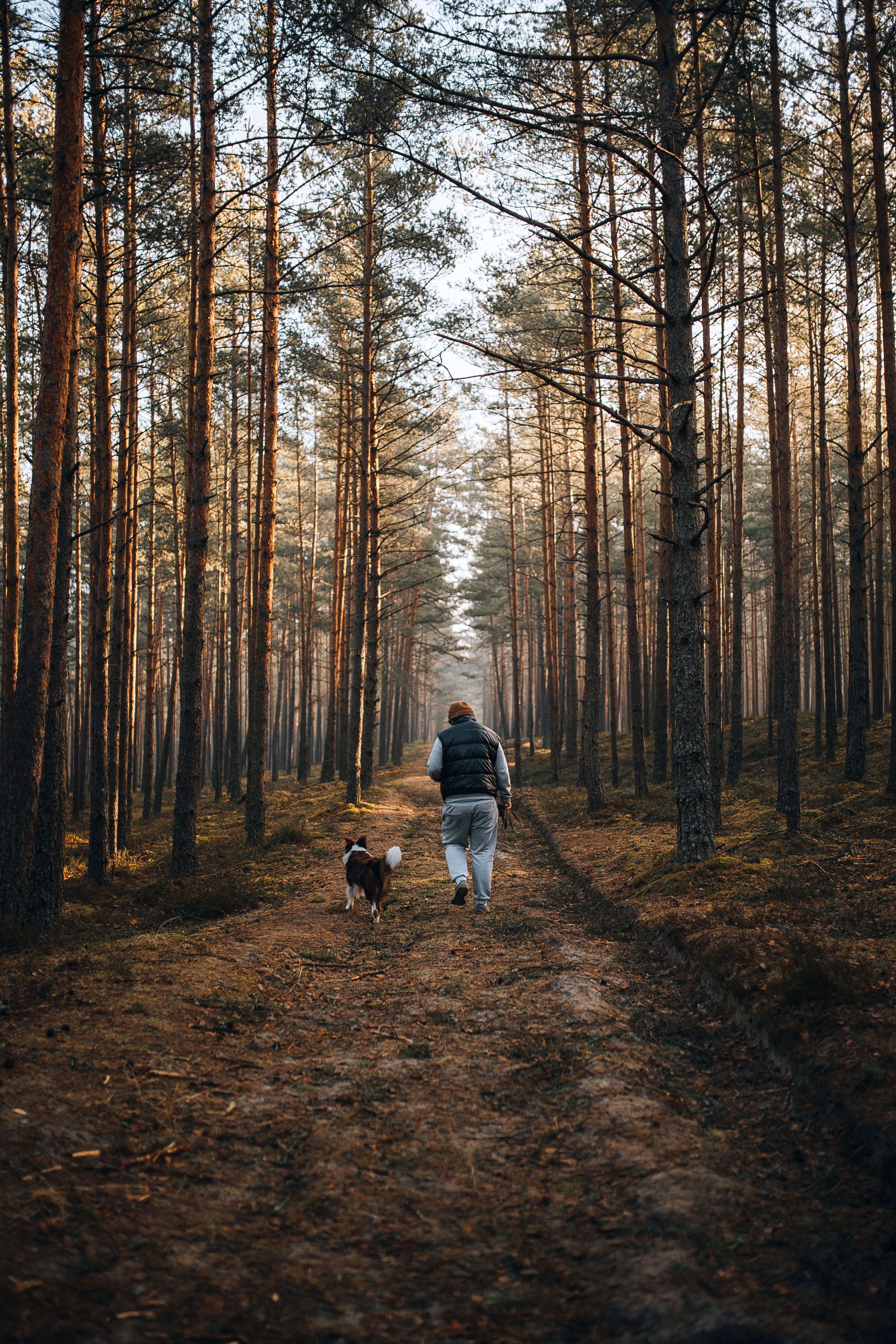 Man Walking the Dog in a Forest · Free Stock Photo