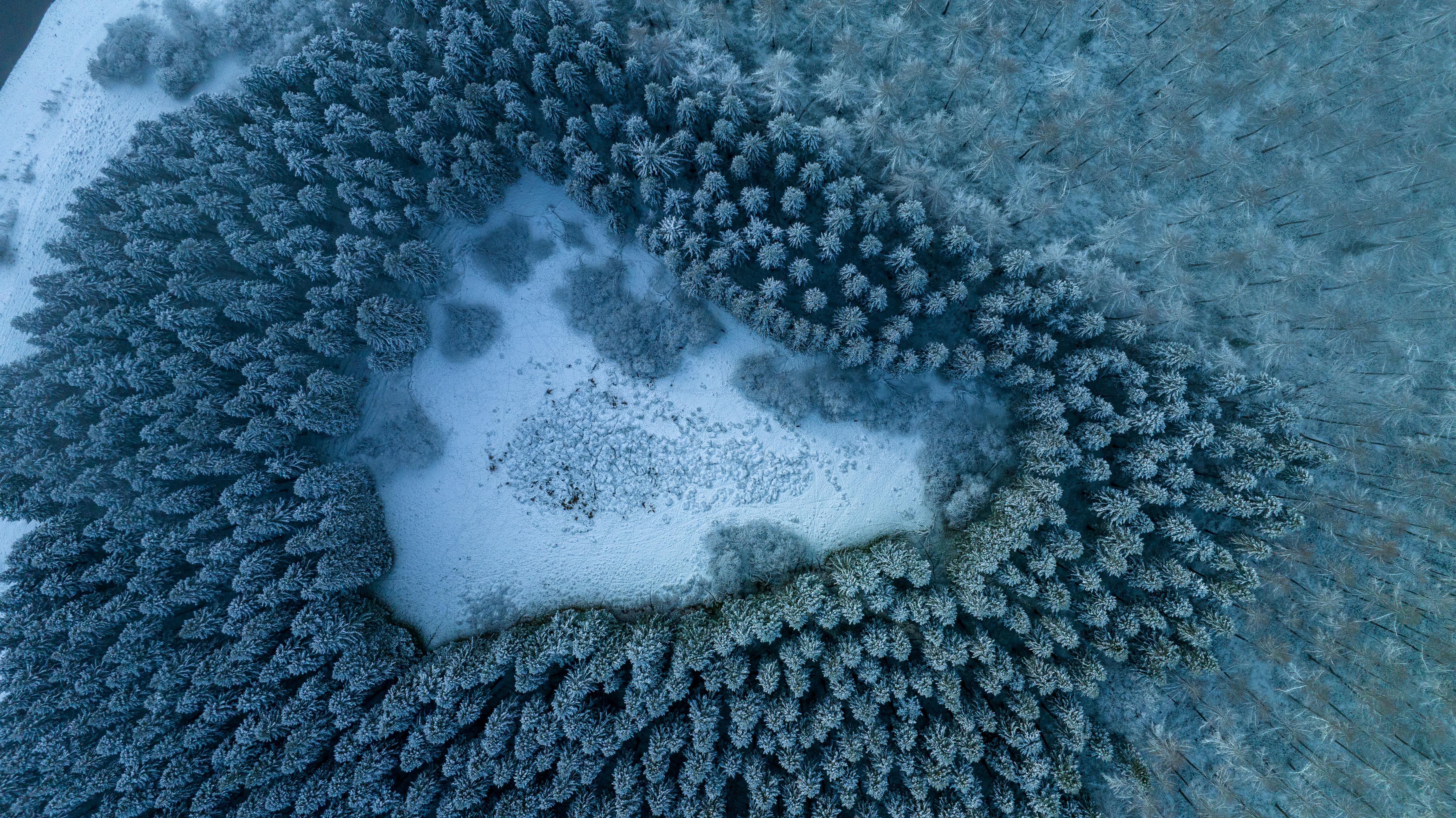 Let Texture Photos, Download The BEST Free Let Texture Stock Photos ...