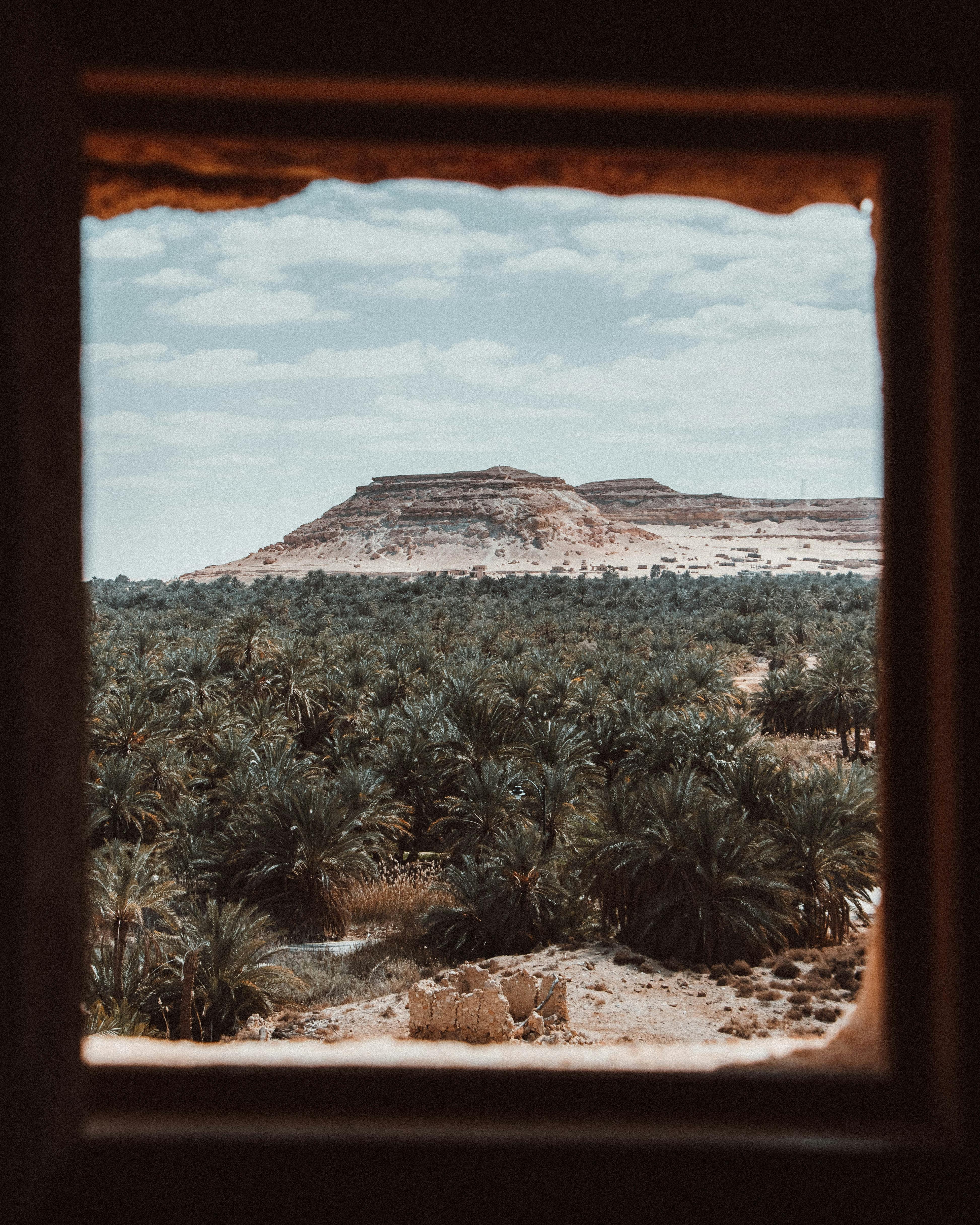 A breathtaking view of Siwa Oasis in Egypt framed by a window, capturing lush palm trees and distant hills.