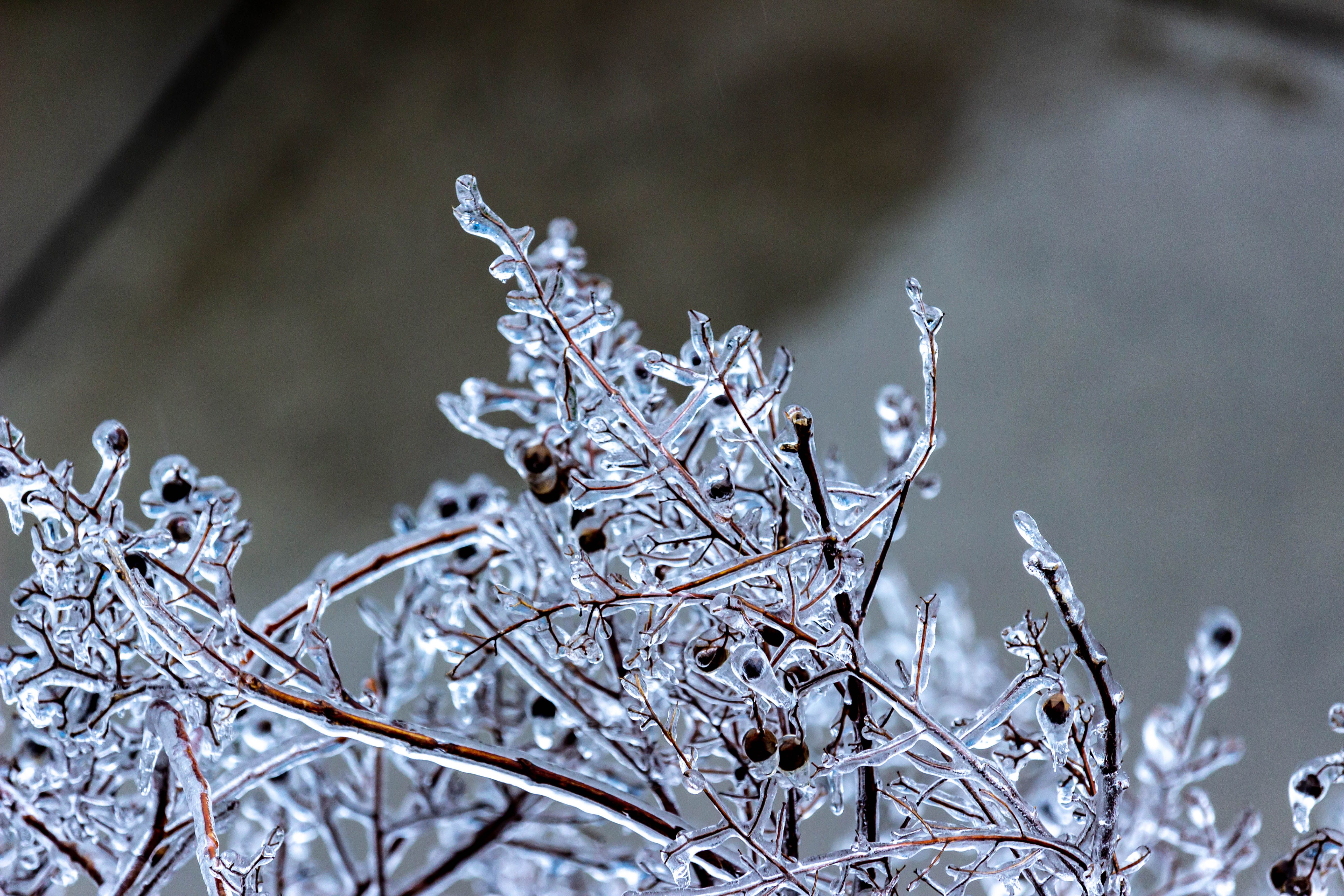 Frozen Tundra Photos, Download The BEST Free Frozen Tundra Stock Photos